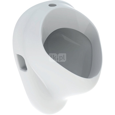 Geberit Felix Pisuar, B35cm, H56cm, T35.5cm, dopływ u góry, odpływ do tyłu lub w dół