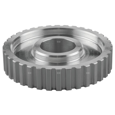 Tarcza paseka zębatego