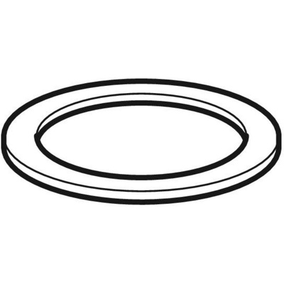 Uszczelka wężyka przyłączeniowego