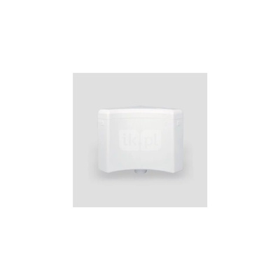 Dolnopłuk narożny delta, biały