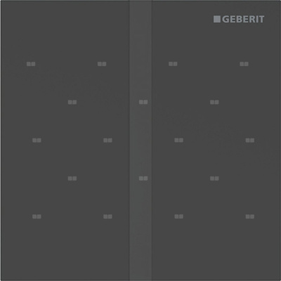 Elektroniczny zawór spłukujący Geberit do pisuaru, zasilanie 230V, Typ 40, stal nierdzewna czarny, prostokątny