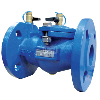 Zawór zwrotny antyskazeniowy kołnierzowy typ EA453 DN 65