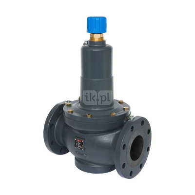 Zawór równoważący ASV-PV 20-40 kPa DN100