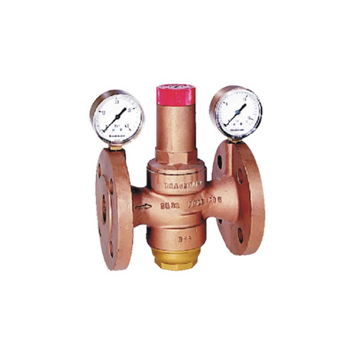 Regulator ciśnienia, PN25, DN 20