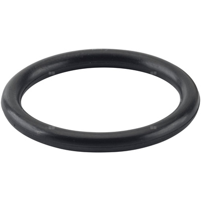 Oring - pierścień uszczelniający REMS