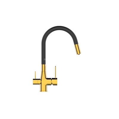 Bateria zlewozmywakowa z filtrem Glamour złoty