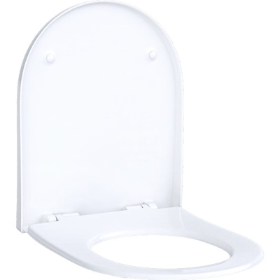 Deska sedesowa Geberit Acanto: Wolne opadanie=Nie, Zawiasy wypinane=Nie, Mocowanie=Od góry, Biały / Błyszczący