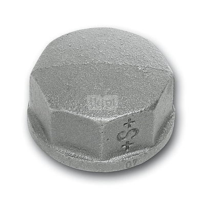 Zaślepka żeliwo SANHA 300# (ocynk galwaniczny/elektrolityczny) 2'' GW