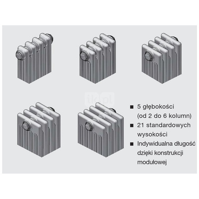 Grzejnik Zehnder Charleston 3060 - 13 elem., Kolor Biały (RAL 9016), Typ złącza Code V001, Wersja zaworu M30x1.5, Ustawienie wstępne Ustawienie wstępne VE9, Zintegrowane konsole naścienne Konsole scienne SMB, Ilość zest naściennych 2