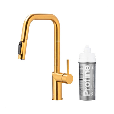 DUERO PURE STYLE PULL-OUT BATERIA KUCHENNA Z FUNKCJĄ FILTRACJI WODY I WYCIĄGANĄ WYLEWKĄ, BRUSHED GOLD + ZESTAW FILTRUJĄCY PROFINE SILVER S