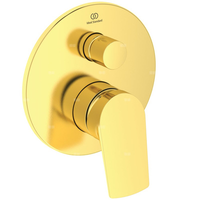 LDV BAT. WANN-NATR./ A1000NU BR GOLD