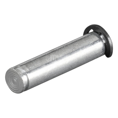 Oś REMS (akcesorium)