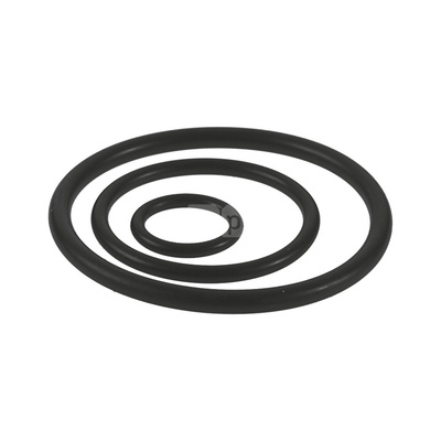 O-Ring EPDM Steel/Inox - 168.3