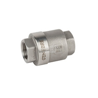 Zawór zwrotny EFAR Art. 2416 4'' GW PN 63