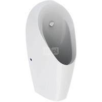 Pisuar Geberit Tamina do podtynkowego zaworu spłukującego do pisuarów: T=37cm, Dopływ=Z tyłu, Biały