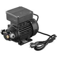 Pompa łopatkowa z silnikiem