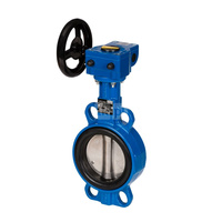 Przepustnica VFY-WG PN16 DN300 CI/EP/EPDM