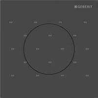 Pneumatyczny zawór spłukujący Geberit do pisuaru, ręczny, Typ 40, stal nierdzewna czarny, okrągły