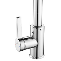 Bateria zlewozmywakowa z 4-funkcyjną, wyciąganą wylewką Nelia, chrom