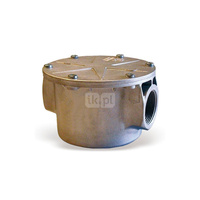 Gasfilter 70612/1B FILTRO GAS 3/4"(1BAR)