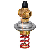 Regulator różnicy ciśnień z ograniczeniem przepływu AVPQ PN25 20/63 02-10/02 gw. pow.