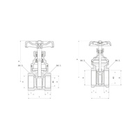 Zawór wodny PERFEXIM PHA-022 GW 1 1/4'' x GW DN 32