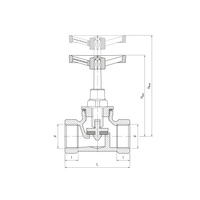 Zawór wodny PERFEXIM 1105 GW 1'' x GW 1''