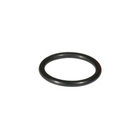 O-RING pod komorę filtracyjną dla F76S-F, DN80