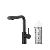 DUERO PURE BASIC PULL-OUT BATERIA KUCHENNA Z FUNKCJĄ FILTRACJI WODY I WYCIĄGANĄ WYLEWKĄ, CZARNA + ZESTAW FILTRUJĄCY PROFINE SILVER S