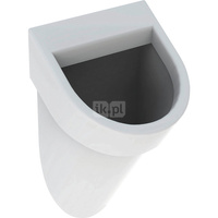 Pisuar Geberit Flow, dopływ z tyłu, odpływ do tyłu: T=33cm, Odpływ=Do tyłu, Dopływ=Z tyłu, Biały