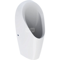 Pisuar Geberit Tamina, bezwodny: T=37cm, Odpływ=Do tyłu, Biały