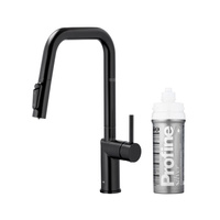 DUERO PURE STYLE PULL-OUT BATERIA KUCHENNA Z FUNKCJĄ FILTRACJI WODY I WYCIĄGANĄ WYLEWKĄ, CZARNA + ZESTAW FILTRUJĄCY PROFINE SILVER S