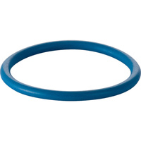 Uszczelka do ramienia natryskowego, do Geberit AquaClean 8000plus / 8000