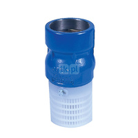 Kosz ssawny gwintowany wew., zamknięcie grzybkowe wspomagane sprężyną, typ 102P, Pnom 1,6 MPa, 3"